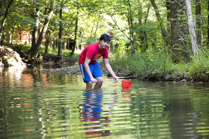 Aiukli Creek View Cabin Picture 9