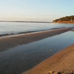 Robbie Kubela Rogers Lake Campus of Austin College