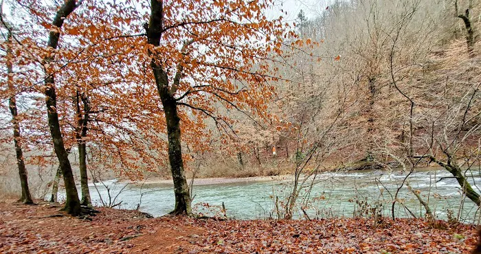 Caney Creek Recreation Area Picture 1