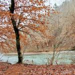 Caney Creek Recreation Area