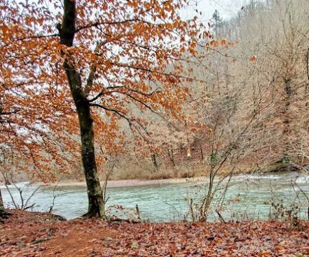 Caney Creek Recreation Area