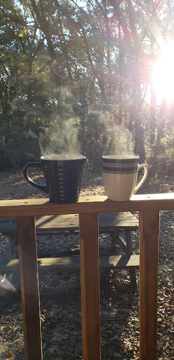 Custom Cabin Rental Picture 1
