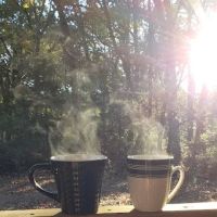 Custom Cabin Rental ico