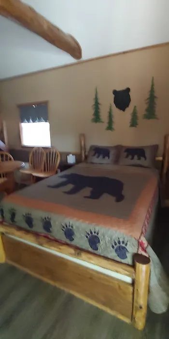 Custom Cabin Rental Picture 8