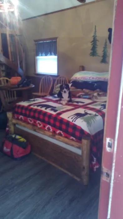 Custom Cabin Rental Picture 9