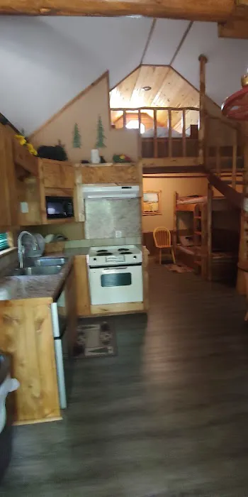 Custom Cabin Rental Picture 7