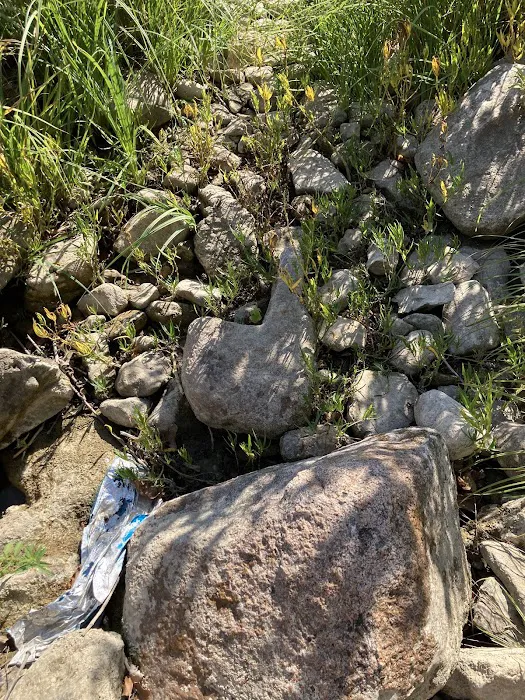 Blue River Campsites Picture 1