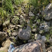 Blue River Campsites ico