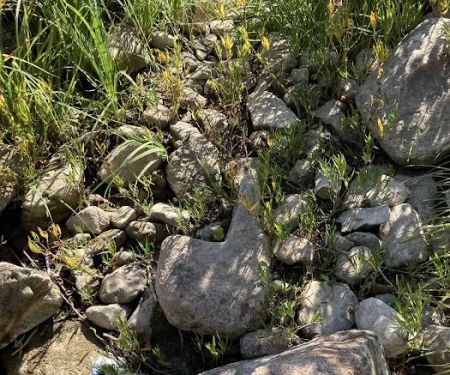 Blue River Campsites