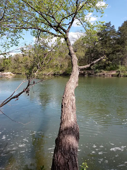 Blue River Campsites Picture 8