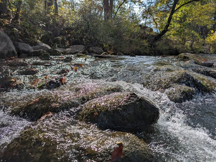 Blue River Campsites Picture 7