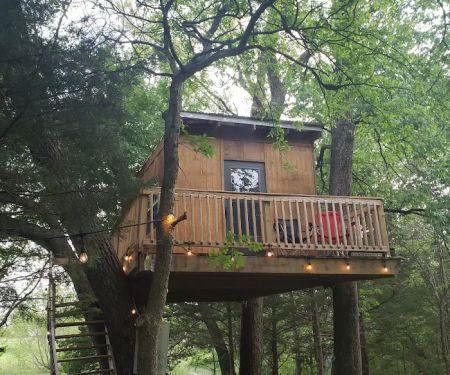 Treehouse on the Creek