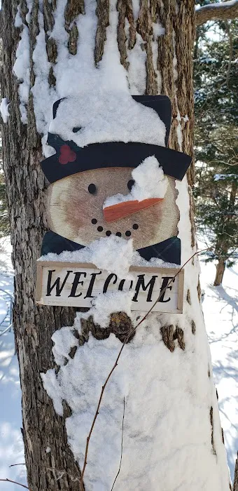 Treehouse on the Creek Picture 3