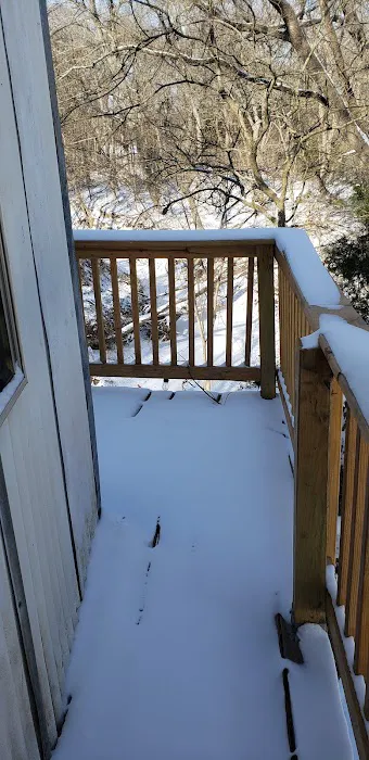 Treehouse on the Creek Picture 9