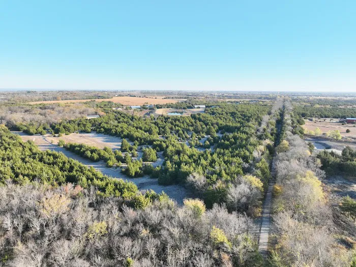 Sugar Hill Adventures Picture 5