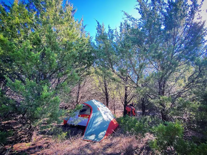 Sugar Hill Adventures Picture 3