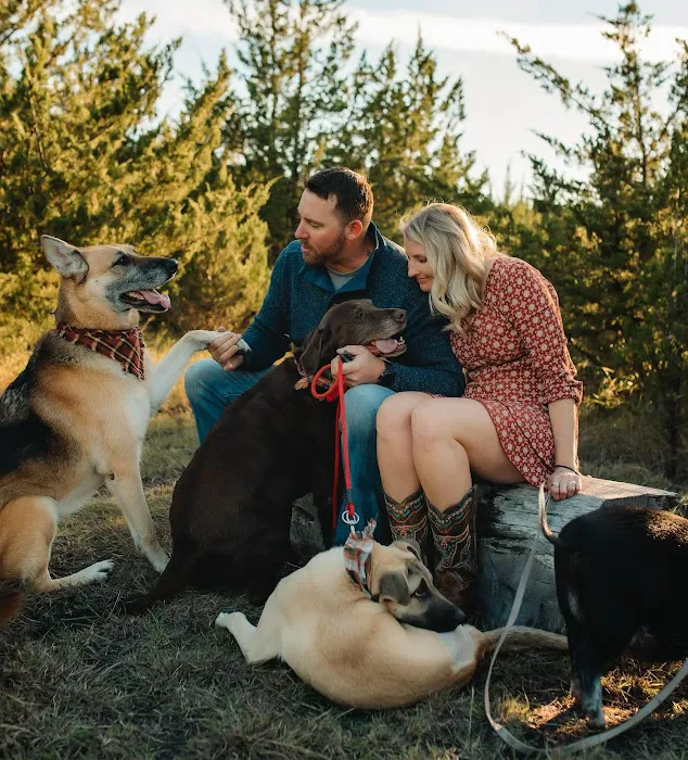 Sugar Hill Adventures Picture 4