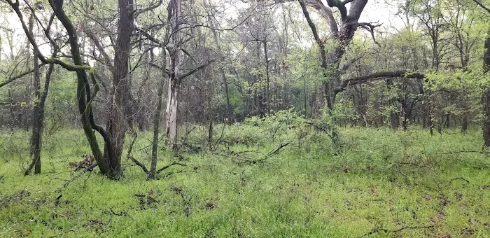 Liberty Grove Campground Picture 4