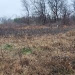 Liberty Grove CampGround