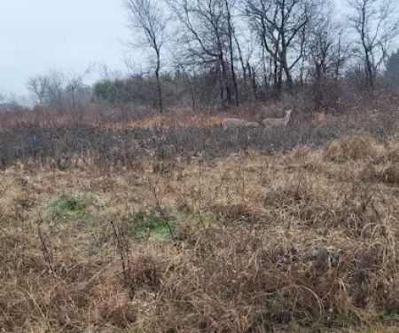 Liberty Grove CampGround