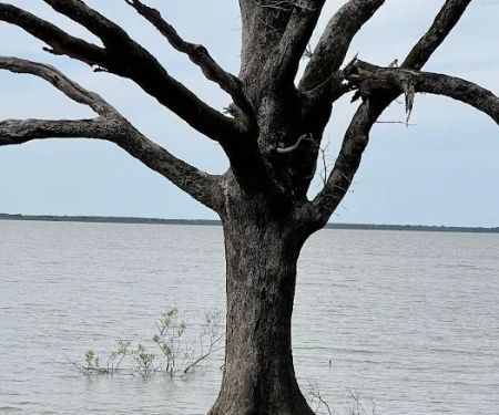 Deer Haven Campground