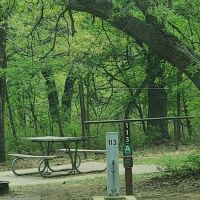 Buggy Whip Equestrian Campground ico