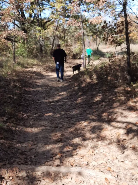 Buggy Whip Equestrian Campground Picture 6