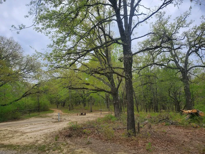 Buggy Whip Equestrian Campground Picture 10