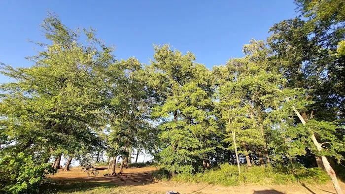 Oak Grove Campground Picture 8