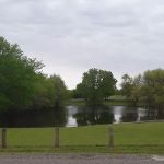 Erwin Park Campsite #9