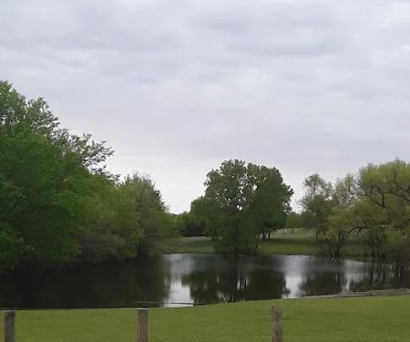 Erwin Park Campsite #9
