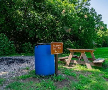 Erwin Park Campsite #4