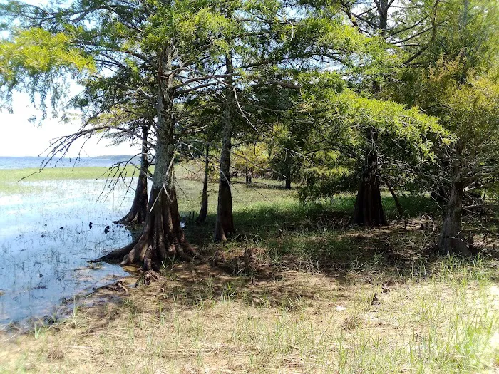 Lakeview Recreation Area Picture 3