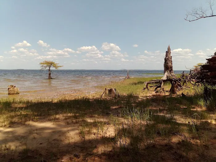 Lakeview Recreation Area Picture 2