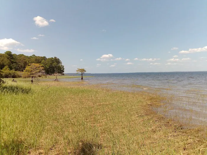 Lakeview Recreation Area Picture 4