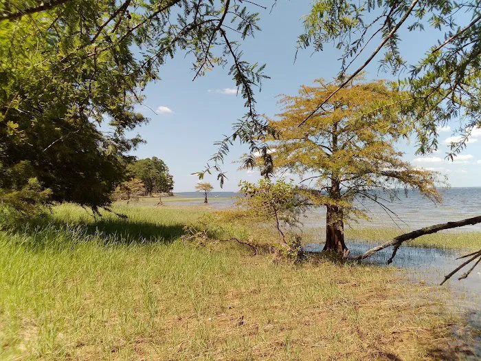 Lakeview Recreation Area Picture 8