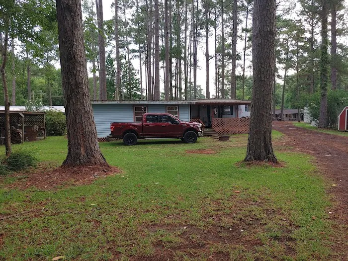 Esto Landing Picture 4