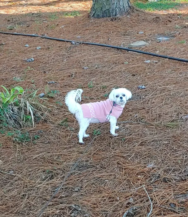 Esto Landing Picture 5