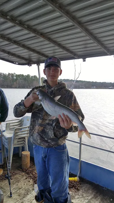 Esto Landing Picture 8