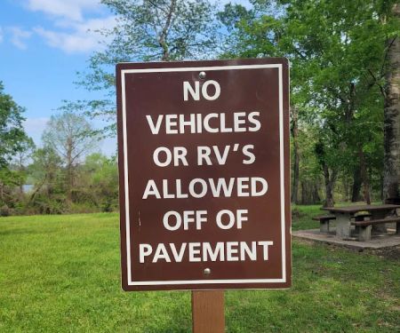 Willow Oak Campground - Sabine National Forest