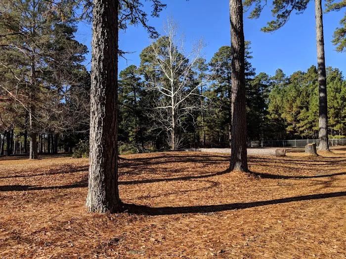 USDA Forest Service Picture 7