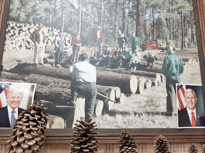 USDA Forest Service Picture 8