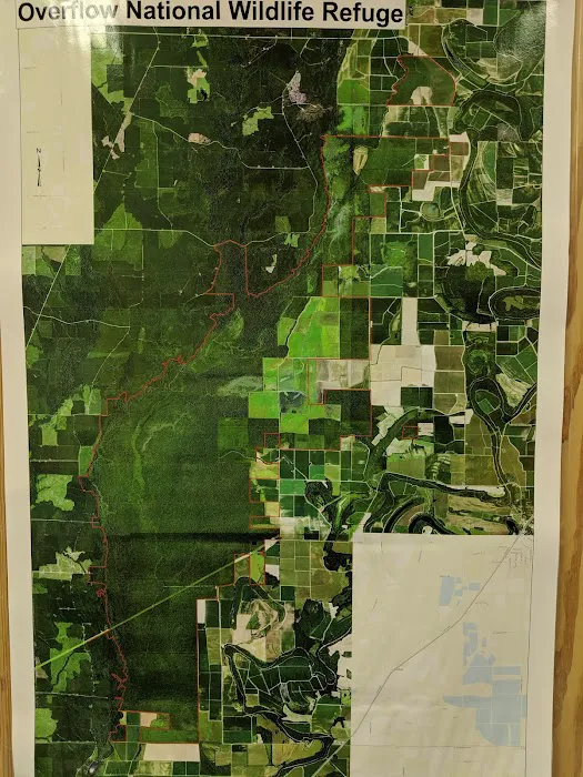 USDA Forest Service Picture 5