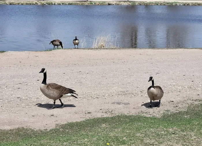 Crystal Springs Campground Picture 3