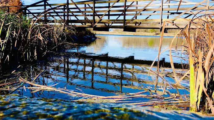 Crystal Springs Campground Picture 6