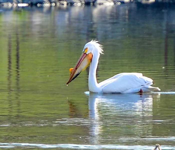 Crystal Springs Campground Picture 10