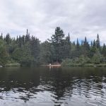 BWCA Campsite #469
