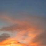 West RV Park Oklahoma State Fairgrounds