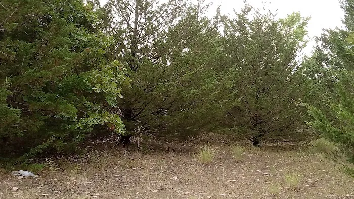 Manns Cove Campground Picture 5