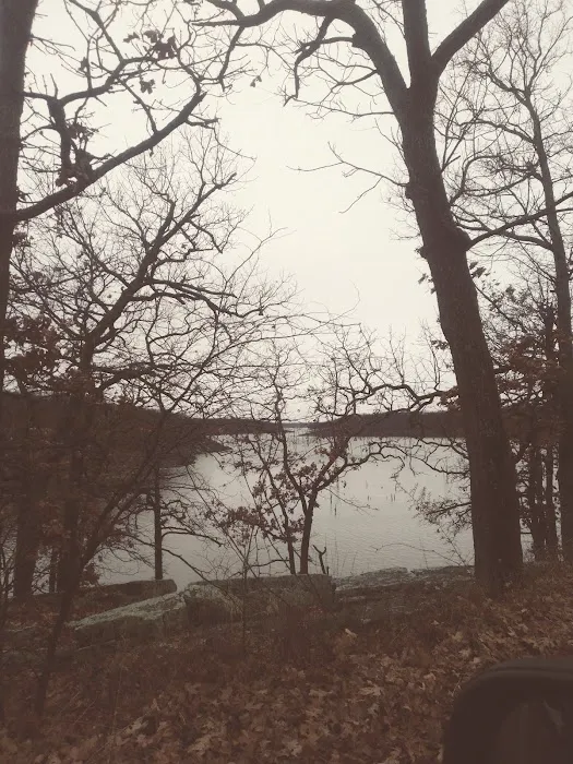 Manns Cove Campground Picture 4
